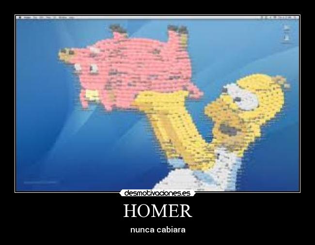 HOMER -