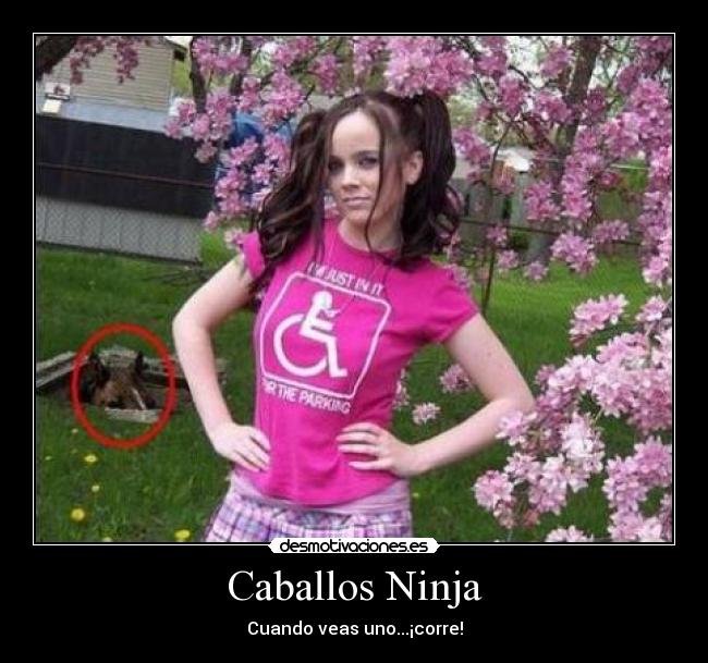 Caballos Ninja -