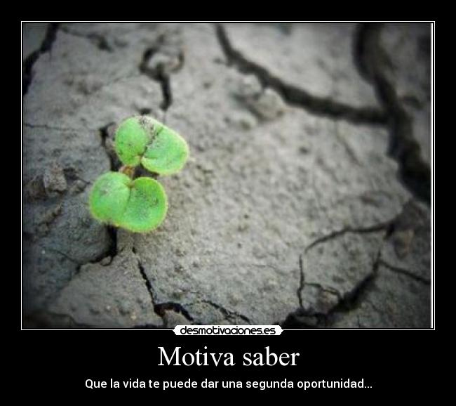 Motiva saber - Que la vida te puede dar una segunda oportunidad...