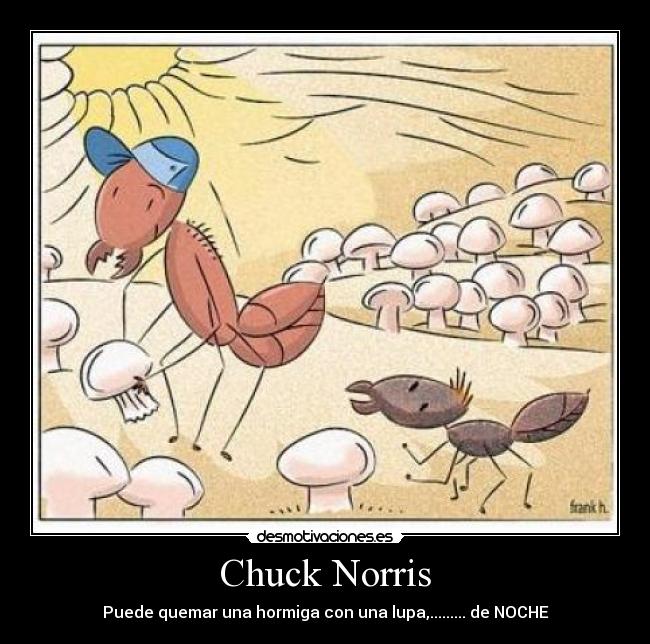 Chuck Norris - 
