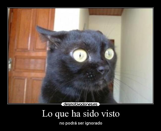 Lo que ha sido visto - no podrá ser ignorado