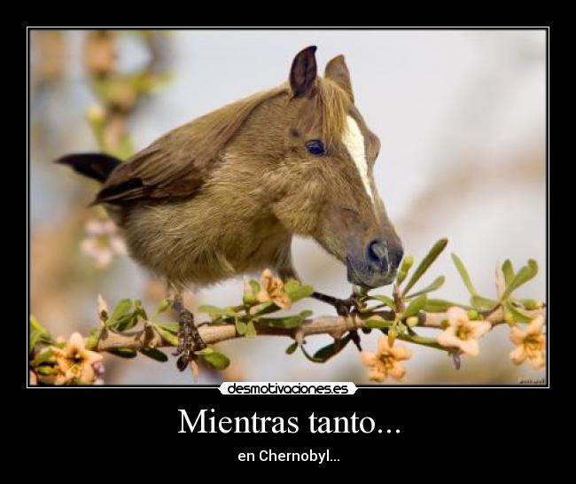 Mientras tanto... - 