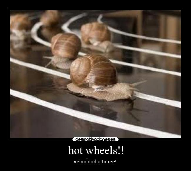 carteles hotwheels desmotivaciones