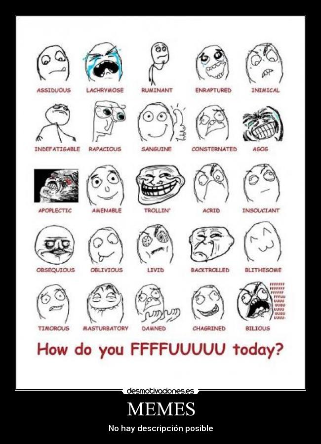 MEMES - No hay descripción posible