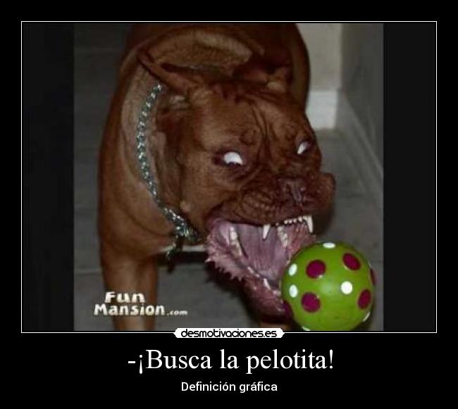 -¡Busca la pelotita! - Definición gráfica