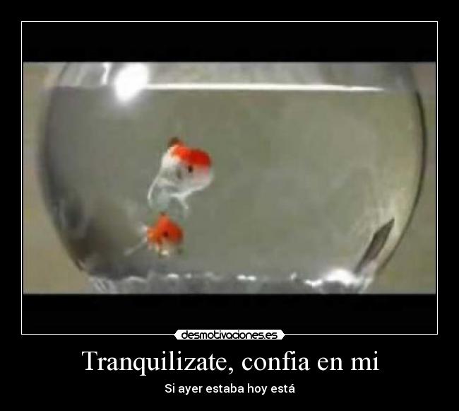 Tranquilizate, confia en mi - Si ayer estaba hoy está