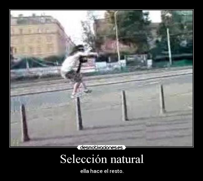 Selección natural - ella hace el resto.