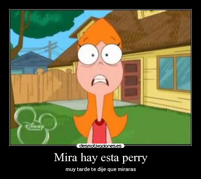 Mira hay esta perry -