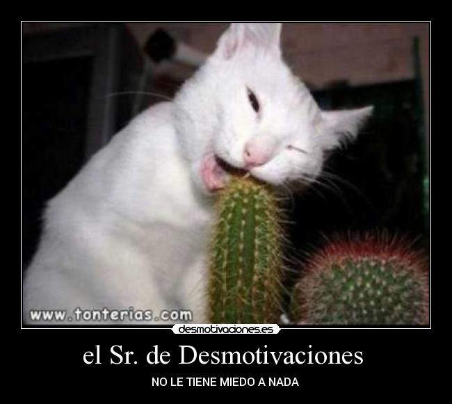 el Sr. de Desmotivaciones  - NO LE TIENE MIEDO A NADA 