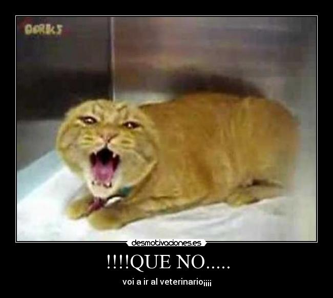 !!!!QUE NO..... -