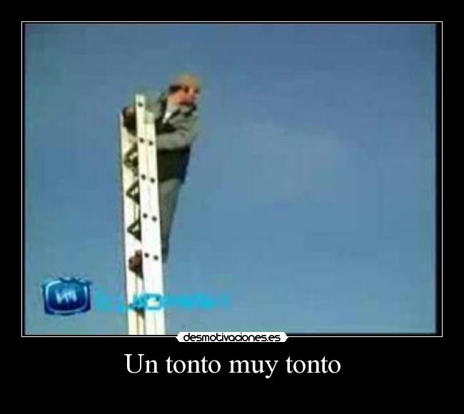 Un tonto muy tonto - 