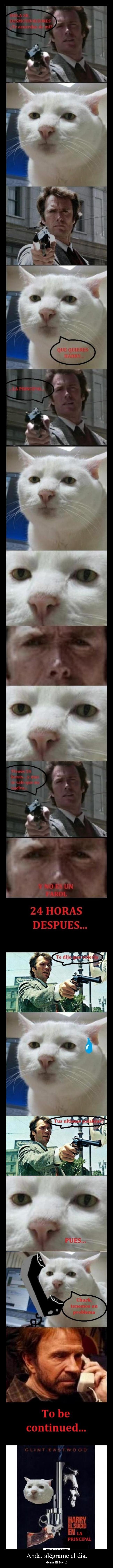 Anda, alégrame el día. -