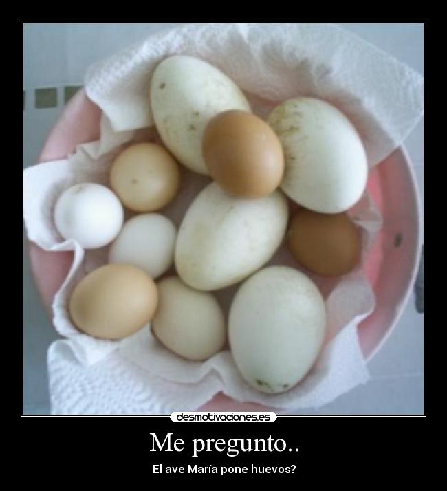 Me pregunto.. -