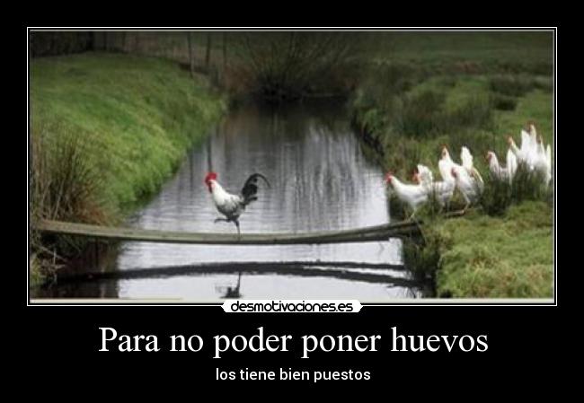 Para no poder poner huevos -