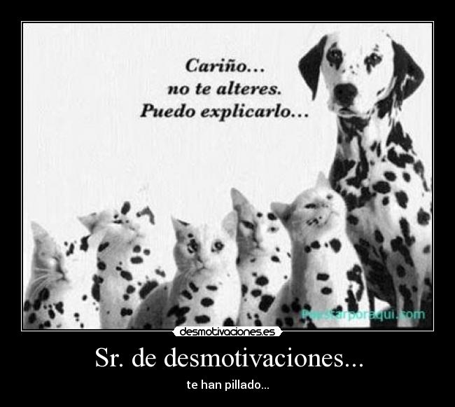 Sr. de desmotivaciones... -