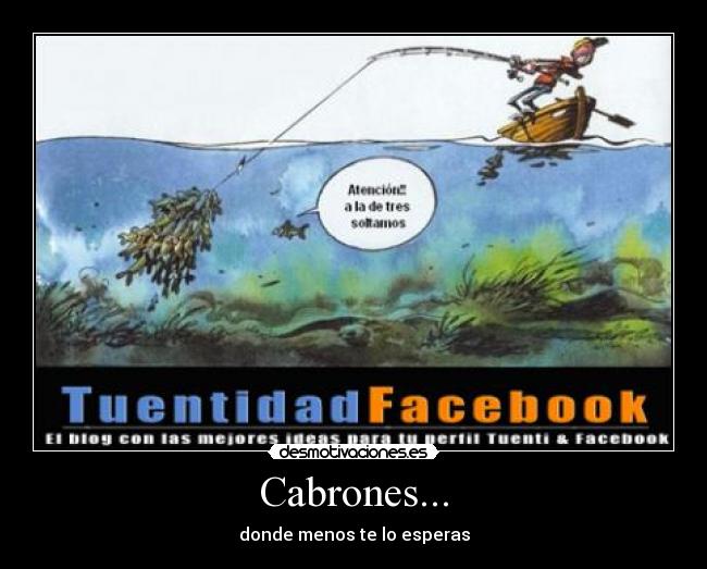 Cabrones... - 