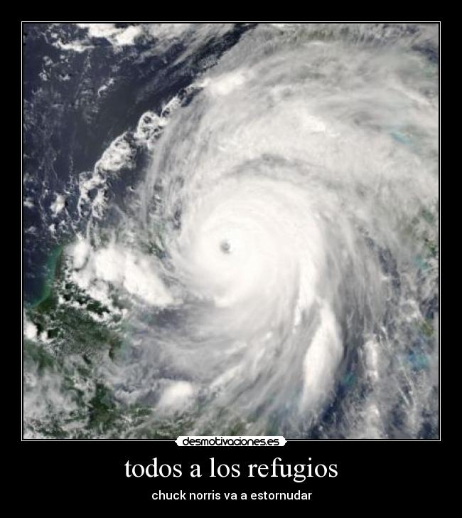 todos a los refugios - chuck norris va a estornudar