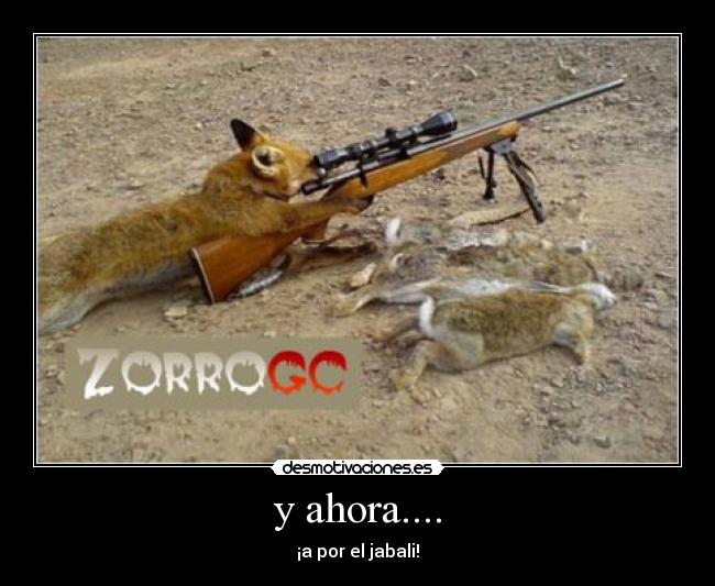 y ahora.... - ¡a por el jabali!