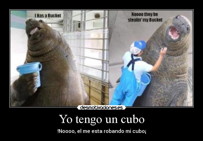 Yo tengo un cubo - !Noooo, el me esta robando mi cubo¡