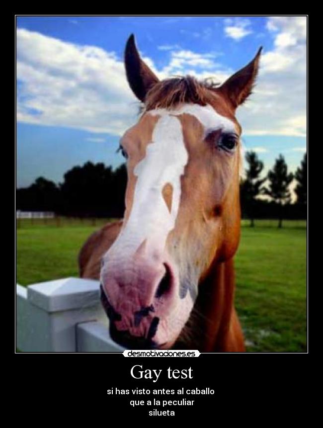 Gay test - 
