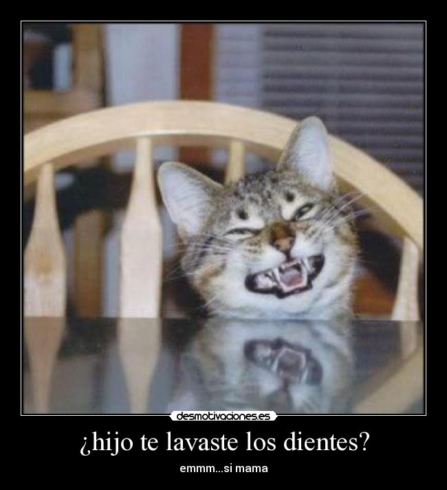 ¿hijo te lavaste los dientes? - emmm...si mama