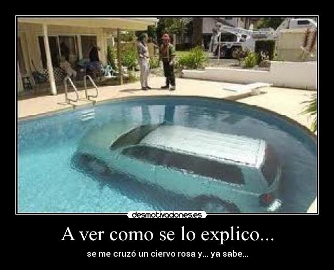 A ver como se lo explico... - se me cruzó un ciervo rosa y... ya sabe...