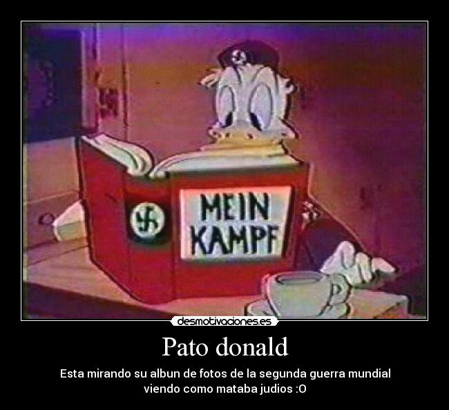Pato donald - 