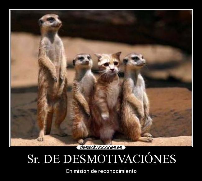 Sr. DE DESMOTIVACIÓNES - En mision de reconocimiento