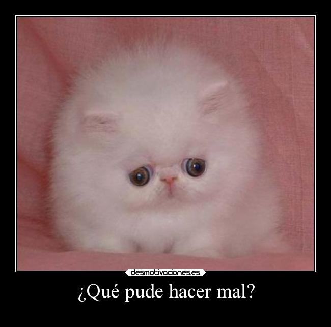 ¿Qué pude hacer mal? -