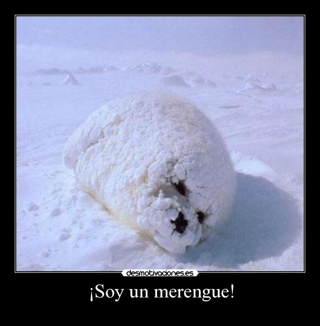 ¡Soy un merengue! - 