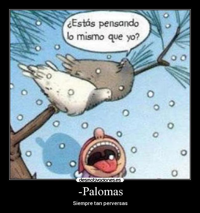 -Palomas -