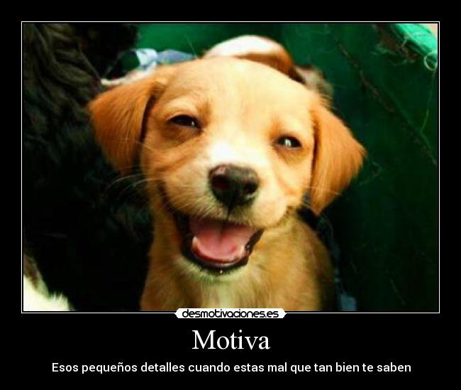 Motiva -
