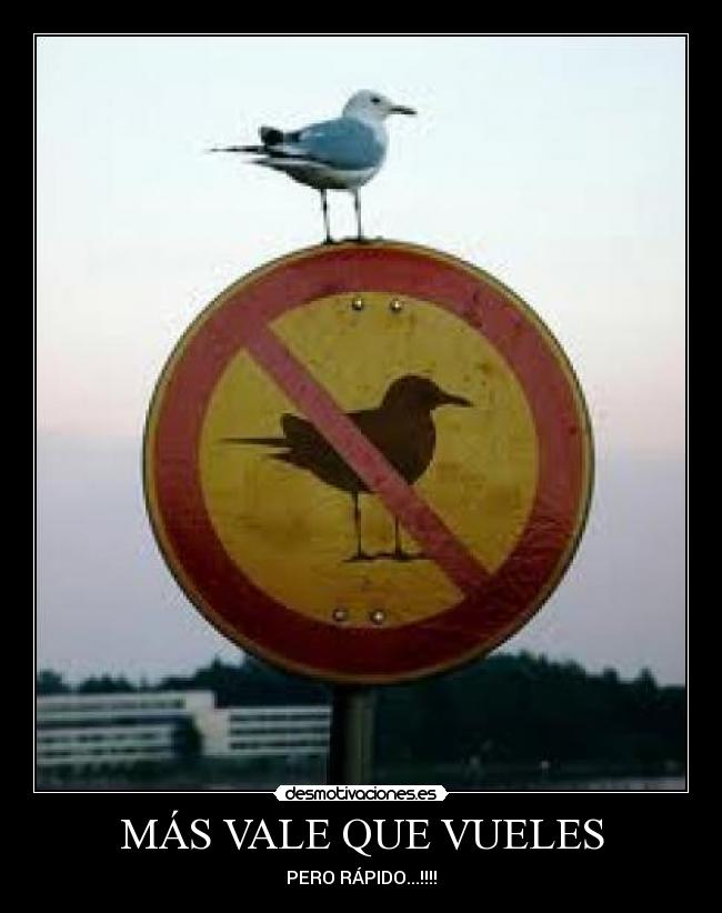 MÁS VALE QUE VUELES -