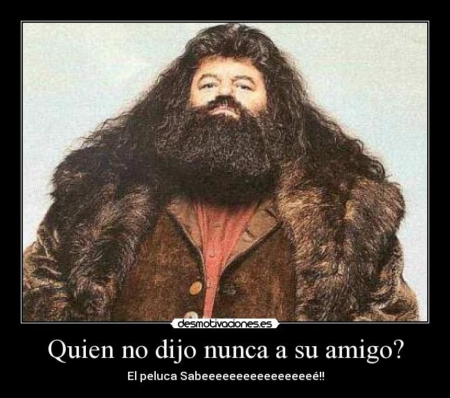 Quien no dijo nunca a su amigo? - 