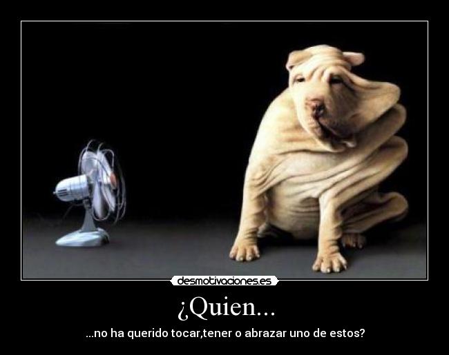 ¿Quien... - ...no ha querido tocar,tener o abrazar uno de estos?