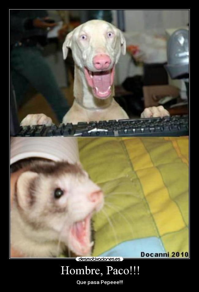 Hombre, Paco!!! -