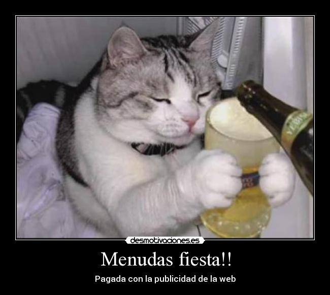 Menudas fiesta!! - 