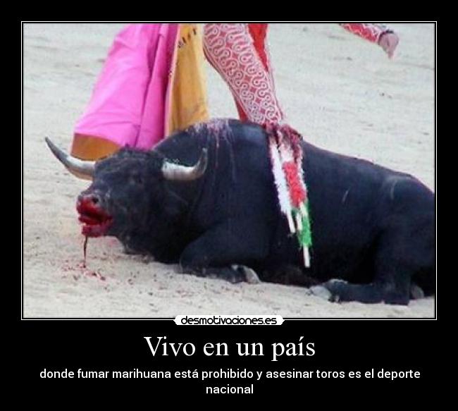 Vivo en un país - donde fumar marihuana está prohibido y asesinar toros es el deporte nacional