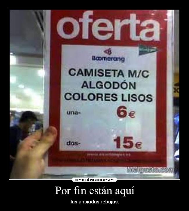 Por fin están aquí -