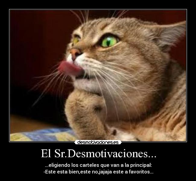 El Sr.Desmotivaciones... - 