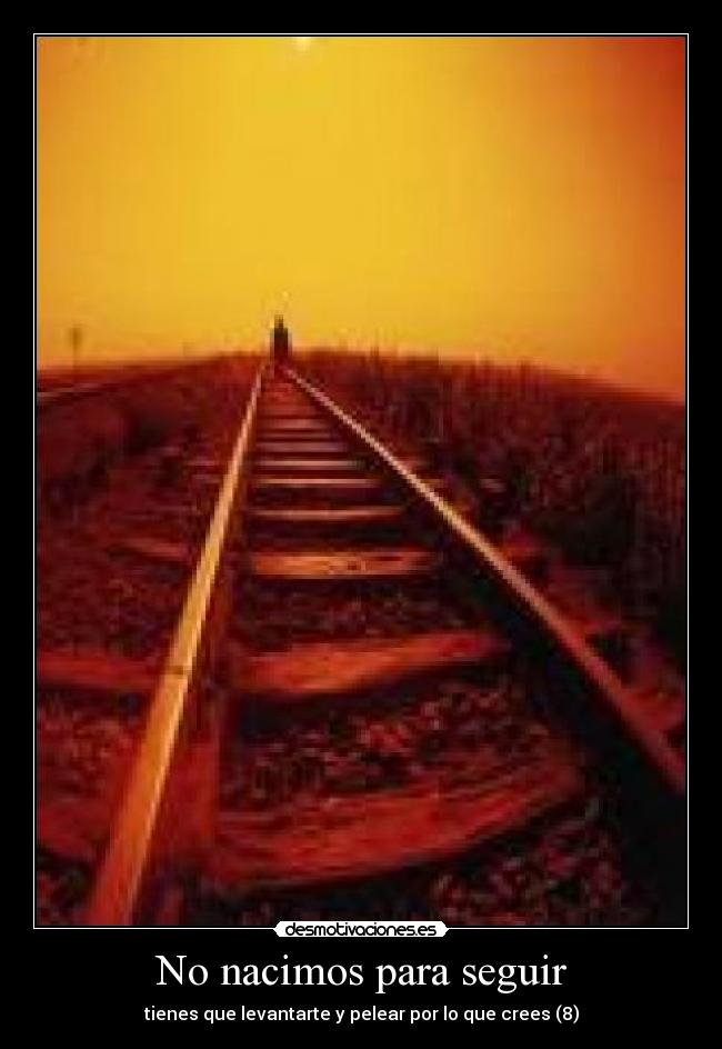No nacimos para seguir -