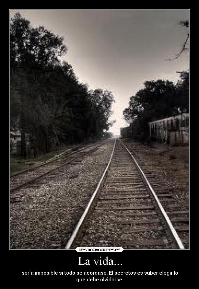 carteles vida desmotivaciones