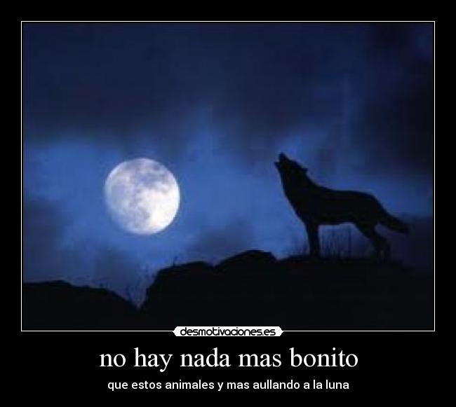 no hay nada mas bonito - que estos animales y mas aullando a la luna