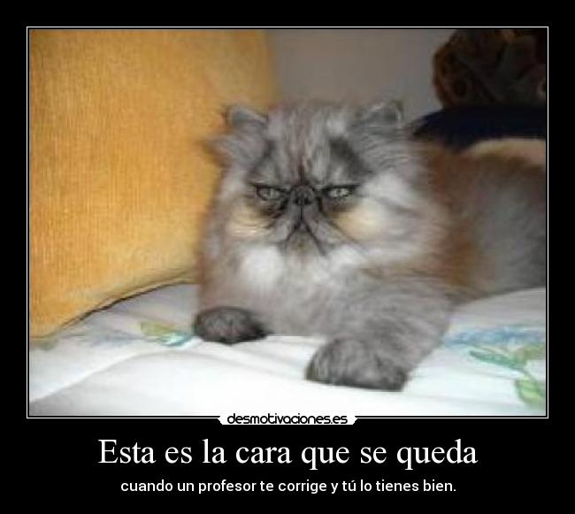 Esta es la cara que se queda - 