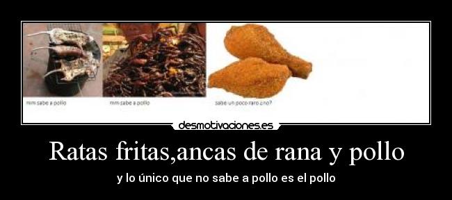 Ratas fritas,ancas de rana y pollo - y lo único que no sabe a pollo es el pollo