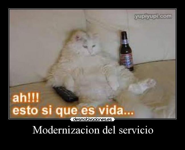 Modernizacion del servicio -