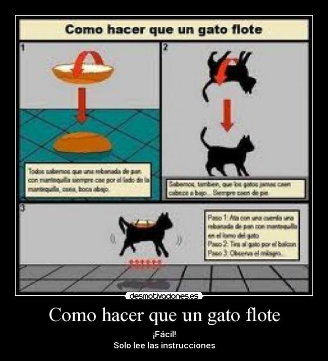 carteles gatos desmotivaciones