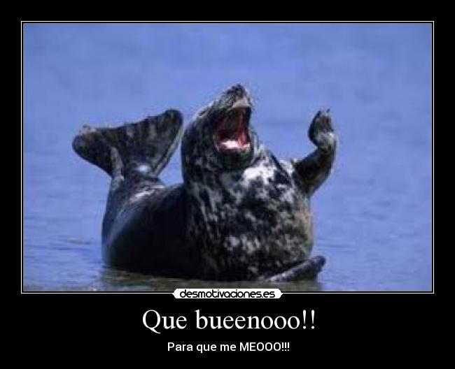 Que bueenooo!! -