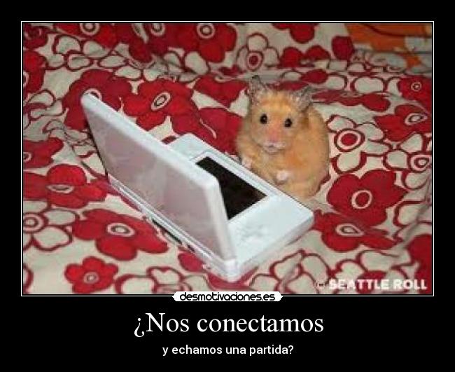 carteles ds jugar raton desmotivaciones