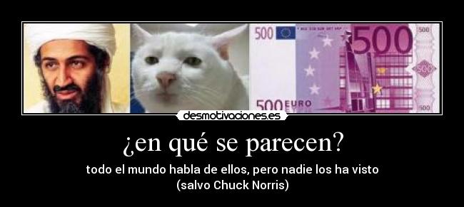 ¿en qué se parecen? -